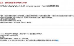 php-cgi.exe - FastCGI 进程意外退出（如何运行PHP程序)