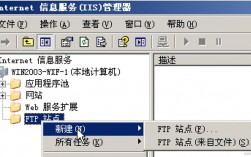 apache 部署ftp服务器_FTP