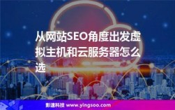 做SEO选国内虚主机好 还是国外虚拟主机好（做seo选国内虚主机好 还是国外虚拟主机好）