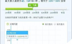 怎么远程看服务器网速（测网速怎么测啊)