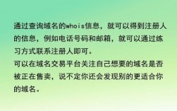 公司域名被注册了怎么办（公司域名被抢注怎么办）