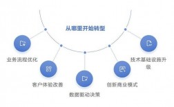 云计算为什么成为企业数字化转型的必由之路？（社保数字化转型的思路和建议)