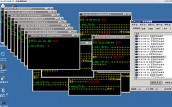 抓肉鸡什么意思，linux抓鸡教程