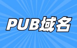 pub是什么域名（pub域名）