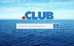 club的域名（域名club容易被百度收录吗）