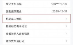 备案登记号怎么查询（怎么找到车主备案的手机号)