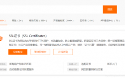 登录阿里云怎么查域名（阿里云怎么查域名证书）