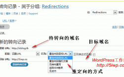 域名重定向设置（域名解析重定向）