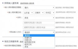 网站接入商在哪里查（网站接入商所属区域）