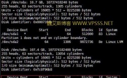 vps格式化指令是什么（vps格式化指令是什么)