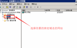 如何用IP地址登陆网站，iis如何绑定域名