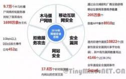 网络安全中的十大常见漏洞和如何避免它们（请问影响网络安全的因素有哪些)