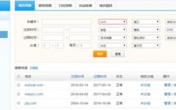 注册的域名怎么泛解析（网站中怎么进行域名的解析)