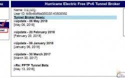 有些公司网络变成香港ip，然后可以翻了墙，是如何做到的，ip被墙检测工具