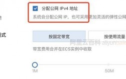 服务器独立ip（服务器独立ip是什么意思）