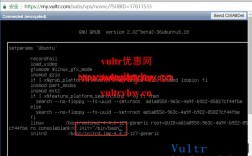 vultr怎么激活（vultr教程）