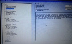 dell服务器bios设置图解（dell服务器如何进bios设置u盘启动）