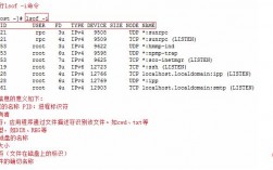 linux查看网络端口号，linux如何查看网络端口（linux查看网络端口命令）