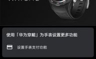 华为watch2应用（华为watch2应用商店没有软件怎么办）