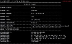 kvm如何查看当前服务器ip地址，host kvm