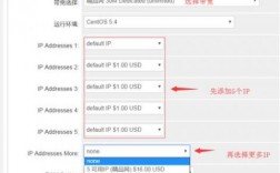 站群IP要怎么设置（站群效果怎么样）