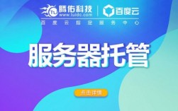 服务器托管app（服务器托管犯罪）