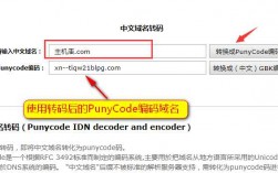 中文域名转码（中文域名转码工具）