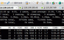 vps服务器cpu过高（vps的cpu）