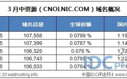 中资源域名控制面板（中资源域名管理）