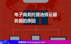 电子商务托管服务器（托管引入中国电子商务主要解决什么问题）