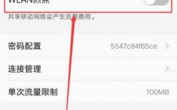 苹果手机流量怎么显示LET（苹果手机流量怎么显示vivo手机上网）