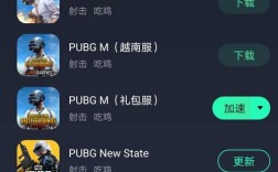 怎么下外国服务器（pubg怎么下国际服)