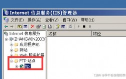 iis如何ftp服务器（iis ftp服务器）