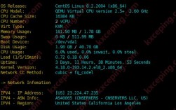 vps数据怎么看（查看vps架构）