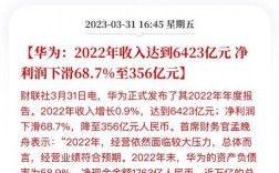 华为的年利润华为，作为中国的科技巨头，其年利润一直是外界关注的焦点。华为的年利润不仅反映了其在全球市场的竞争地位，也体现了其强大的研发实力和创新能力。