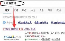 怎么查中文域名的ip（中文域名在哪里查询）