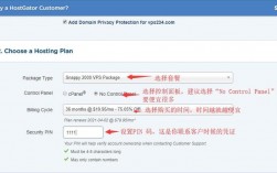 美国vps怎么选择（美国vps的使用方法）