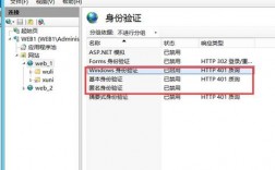 iis身份验证怎么设置，云服务器iis配置