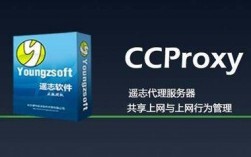 如何用CCProxy做代理服务器，美国网站代理服务器搭建怎么用的