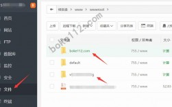 宝塔怎么给网站加运行目录（宝塔怎么给网站加运行目录文件）