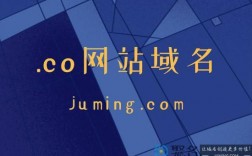 域名注册co（域名注册com49元）