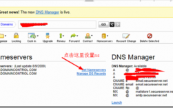 dnspod解析怎么样（dnspod 解析）