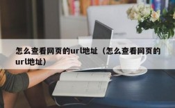 网页url在哪里看（如何看网页的url）