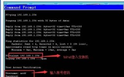 域名TTL我该怎么设置（域名怎么telnet）