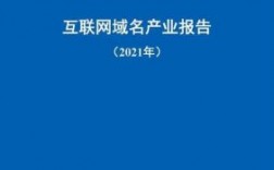 域名互联网（域名作为互联网的单位名称）