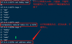 redis默认是0号库，怎么指定使用库，redis 指定端口启动