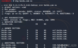 查询域名的dns（查询域名的ipv6地址）