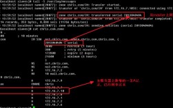 linux搭建dns详细步骤，域名dns如何设置