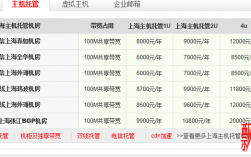 服务器托管费上海（服务器托管收费标准）