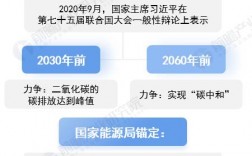 碳中和为目标，科技助力“十四五”污染防治攻坚战（中国提出碳中和目标的时间)